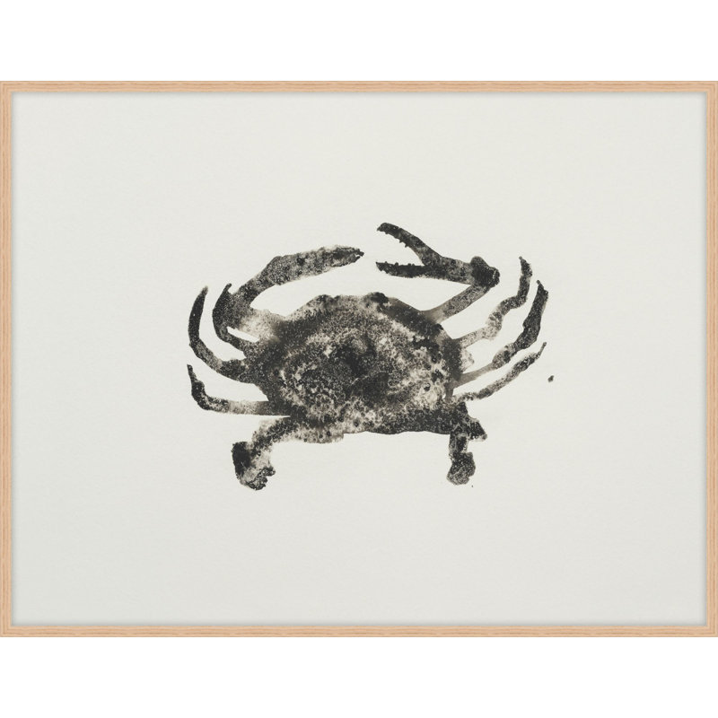 Ocean Creatures 1 Print by Kim Kimbro, 15.54" H x 19.54" W