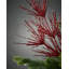  Glitter Firework Christmas Spray – 74 cm Decorative Stem for Wreaths & Garlands-118344575