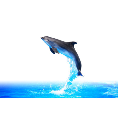 Dolphin high jump 1 Piece Wrapped Canvas Wall Art