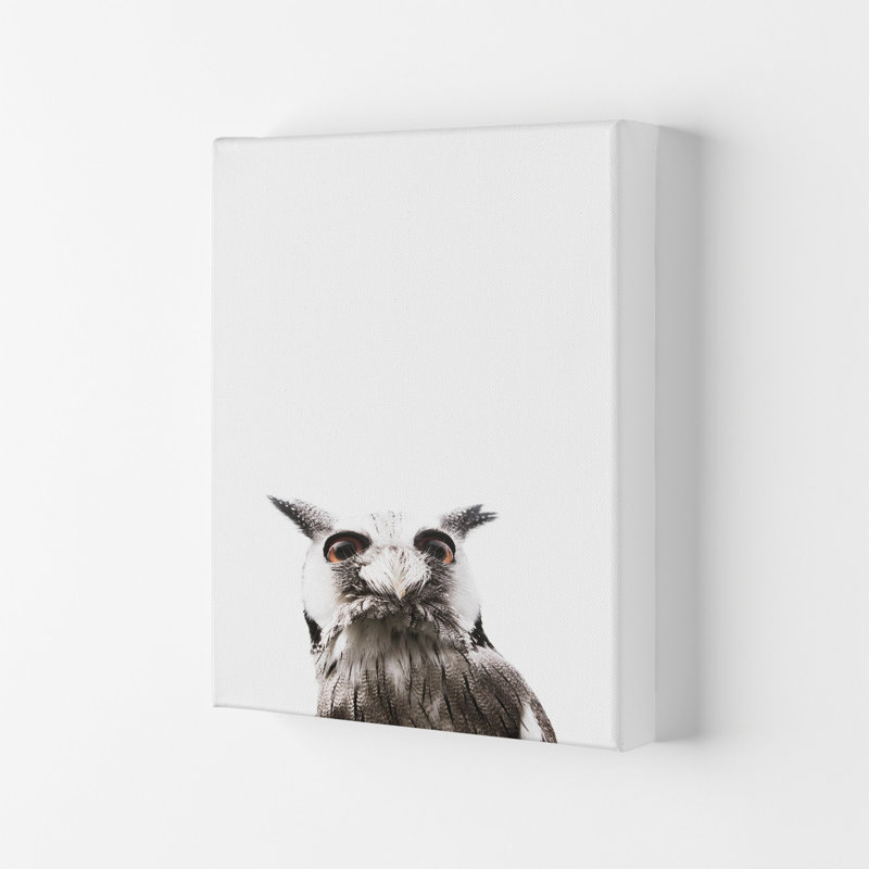 Lil Owl by Victoria Frost - Print, Wrapped Canvas, 84cm H x 59.4cm W x 4cm D