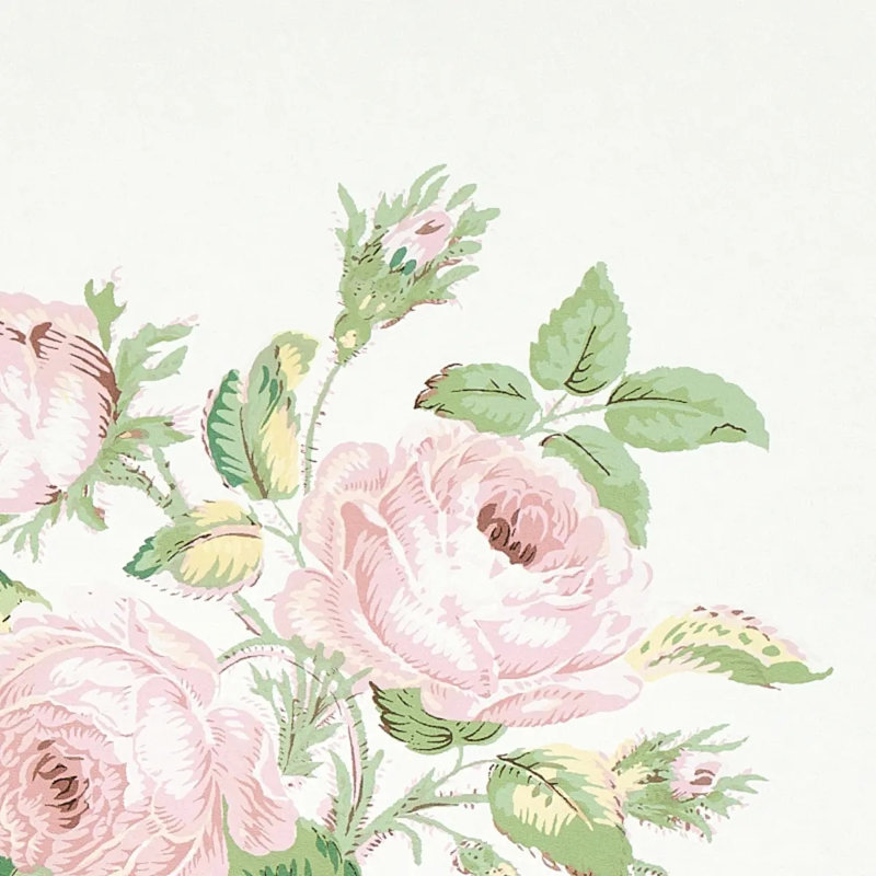 Papier peint rose Loudon, Rougir