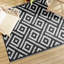 Bruford 160cm X 230cm Area Rug