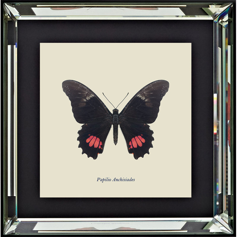 Single Picture Frame Print