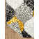Hatha Geometric Rug