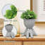 Mini plante grasse plante artificielle pour plantes grasses artificielles pour la maison