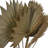 Edgao Preserved Palm Stem Bundle