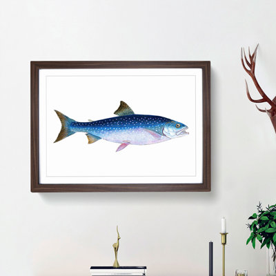 Alpine Charr Fish by Edward Donovan - Single Picture Frame Painting