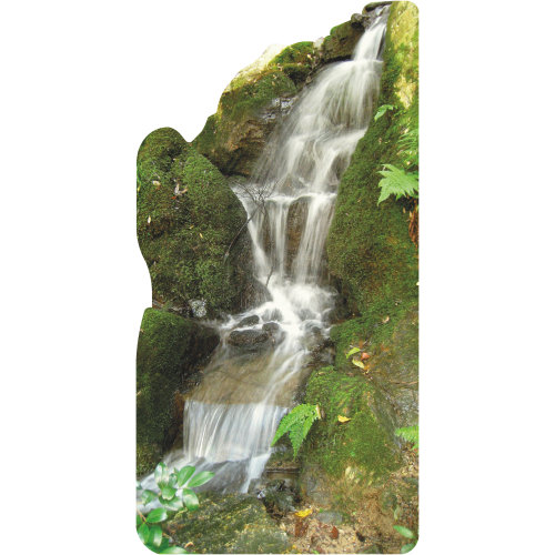 SP13320 - Cascade de forêt