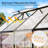 Grower’s Haven AMERLIFE Polycarbonate Greenhouses for Outdoors, Walk-in Aluminum Greenhouse with 2 top-opening windows, Heavy duty Greenhouses with 2 Swing Doors, Greenhouse for Outdoors, Garden Backyard, Black-111795729