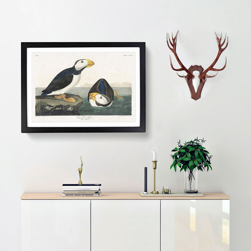 Atlantic Puffins by John Audubon - Single Picture Frame Painting, Black Framed, 45cm H x 63cm W x 2cm D