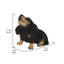 Statue de chiot teckel
