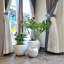 Pot de fleurs Dorlis Fiberstone-686110825-795267175