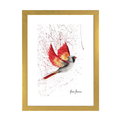 " Caring Cardinal " by Ashvin Harrison