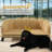 Coffee Pearl Design Pet Sofa