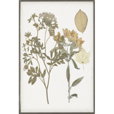 Book-Pressed Flowers II