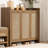 Vine Shoe Cabinet Storage Cabinet