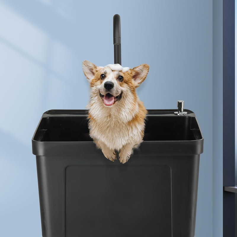 Freestanding Plastic Utility Sink With Stainless Steel Faucet, Matte Black