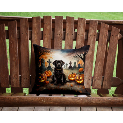 Outdoor Throw Pillow