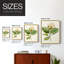 Impression encadrée MagnoliaFlowersI-Premium - prête à être accrochée - aucun clou requis - aucun clou requis-1277906644-1277906601