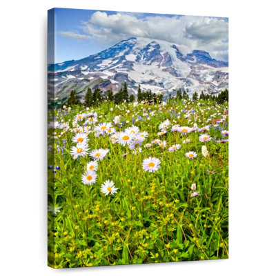 Alvord Mount Rainier Meadow