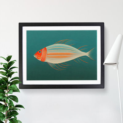 Fish Portrait Vol.2 - Single Picture Frame Print