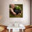 Senne New Seedling Sprouting-109103830