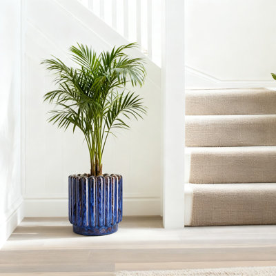 Grande jardinière en céramique avec trou de drainage - Pot à fleurs cannelé moderne de 10 pouces pour plantes d'intérieur et d'extérieur, décoration de jardin et cadeaux pour amateurs de plantes