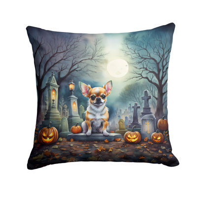  Other/No Pattern Throw Pillow