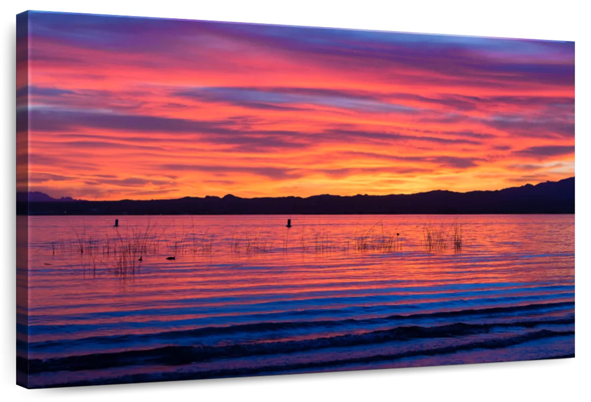 Millwood Pines Alvord Lake Havasu Sunset Horizon | Wayfair