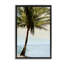 Honduras Coast Palm Tree Floating Frame, design by Natalie Carpentieri-44491076-44491075
