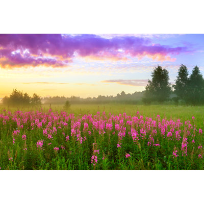 Landscape with sunrise - Photographie sur toile tendue