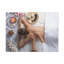 No Frame Print on Canvas-700987181