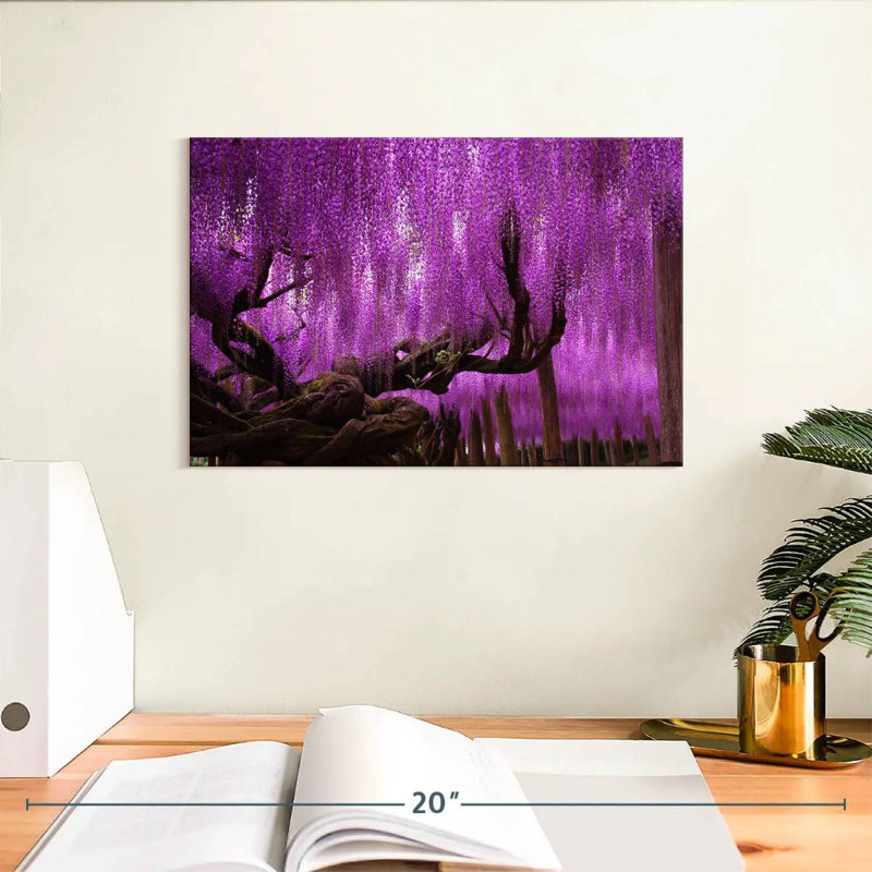 Saule Harnek Wisteria, H 8 po x l 12 po