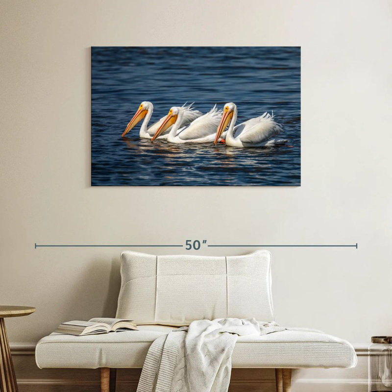 Bramic Ding Darling White Pelicans, H 26 po x l 39 po