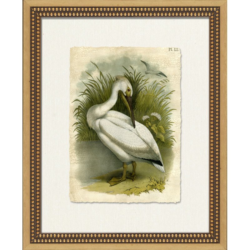 Crackled Marsh Birds III Painting