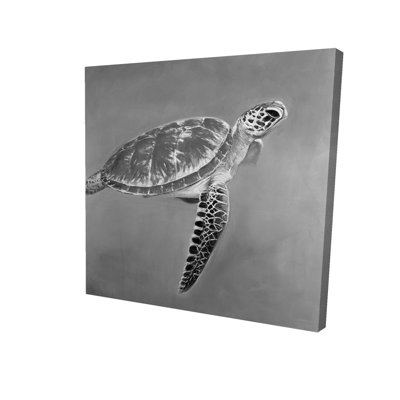 Grayscale Aquatic Turtle Canvas | Exotic Home Decor Art