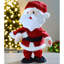 Christmas Decorative Accent