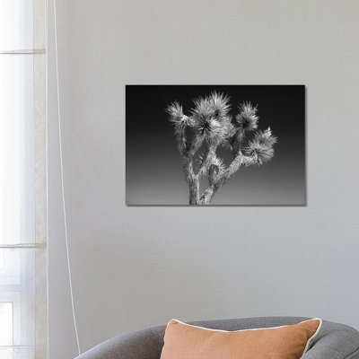 Joshua Tree II by Philippe Hugonnard - Wrapped Canvas Print