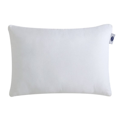 Dr. Scholl's Adjustimize adjustable reversible pillow