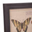 Single Picture Frame Print