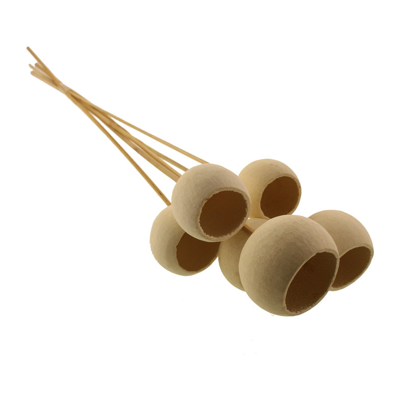 Preserved Bell Cup Arrangement, White