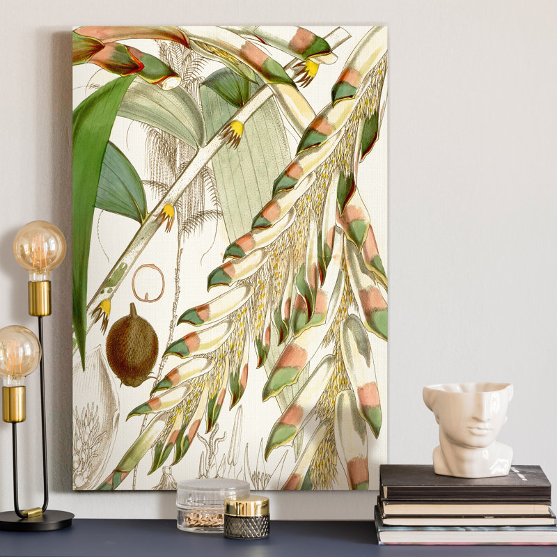 Reproduction d’art sur toile tendue « tropical Variety I », H 48 po x l 32 po x P 1 po