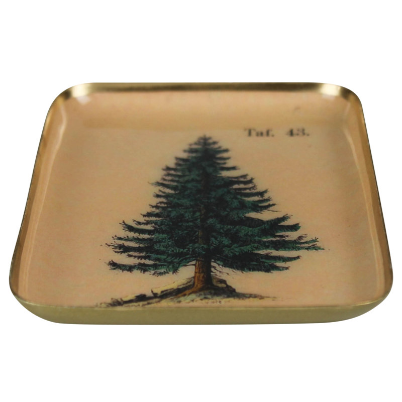 Plateau - Arbre simple, rectangulaire Sm, H 4 po x l 0,75 po x P 6 po, Vert, Rectangulaire