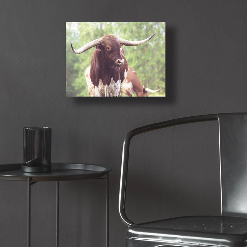 «Longhorn Gaze 1» par Nathan Larson, art mural en verre acrylique, H 12 po x l 16 po x P 0,13 po