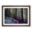 Path Through a Forest in Vancouver - Framed Print-55578158-55578163