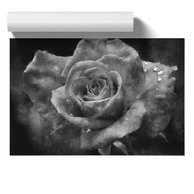 White Rose Flower Painting - Frameless Print