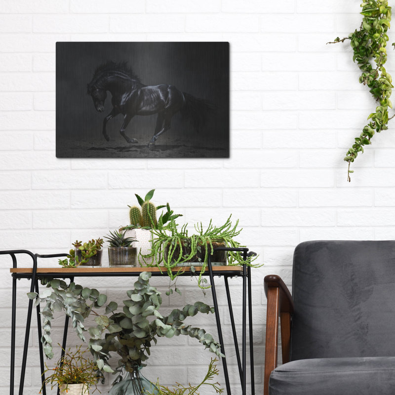 «Onyx» par PhotoINC Studio, H 12 po x l 16 po
