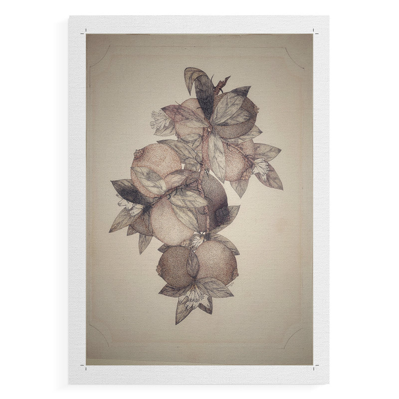 Imprimé floral rétro CCXIX - reproduction de toile seulement - non encadrée