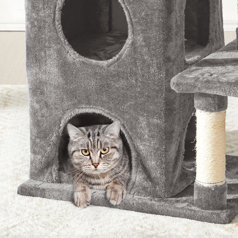 Tour d'arbre à chat à plusieurs niveaux avec condos, hamac et poteaux à griffer - Mobilier de chat robuste pour grands chats