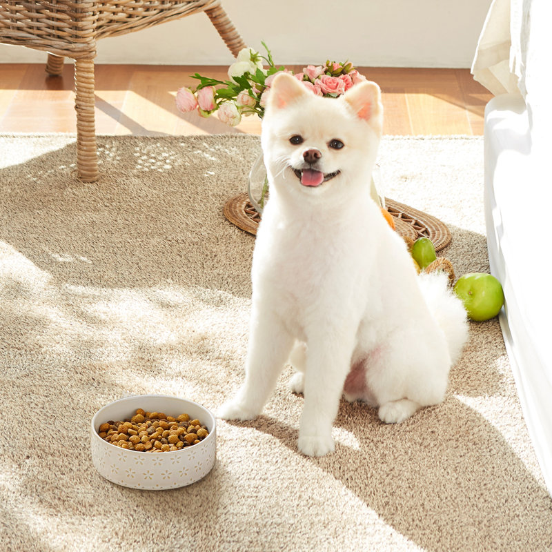 Flower Embossed Pattern Anti-skid Stoneware Dog Bowl, 480ml